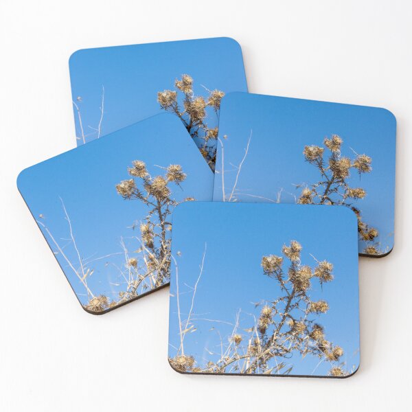 Item preview, Dry Thistle Seedheads Against Clear Blue Sky in Arid Wild Grass Field designed and sold by Nmallia.