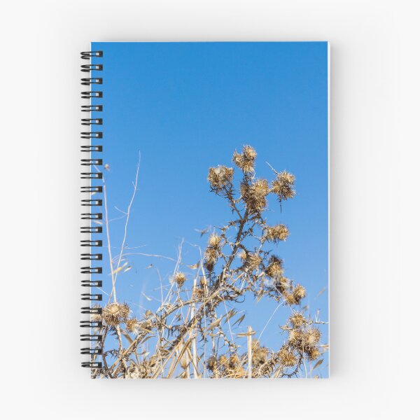 Item preview, Dry Thistle Seedheads Against Clear Blue Sky in Arid Wild Grass Field designed and sold by Nmallia.