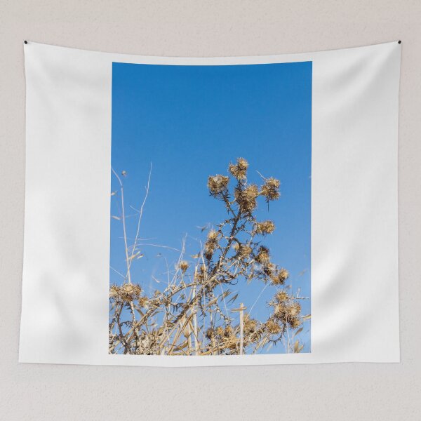 Item preview, Dry Thistle Seedheads Against Clear Blue Sky in Arid Wild Grass Field designed and sold by Nmallia.