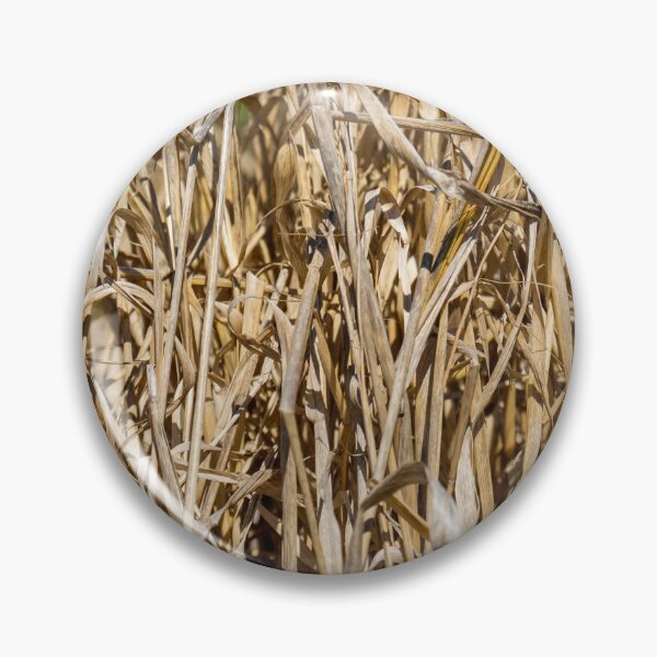 Item preview, Close-Up Of Dry Tall Grass And Straw Reeds In A Sunlit Field Texture designed and sold by Nmallia.