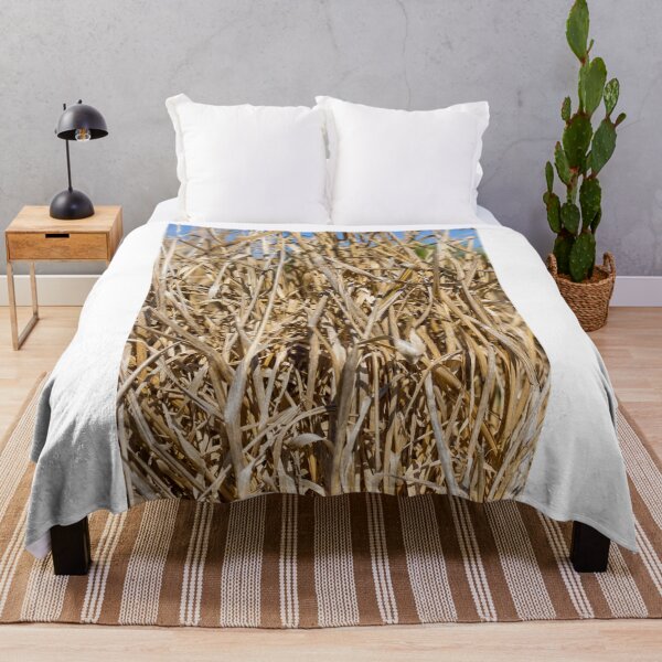 Item preview, Close-Up Of Dry Tall Grass And Straw Reeds In A Sunlit Field Texture designed and sold by Nmallia.