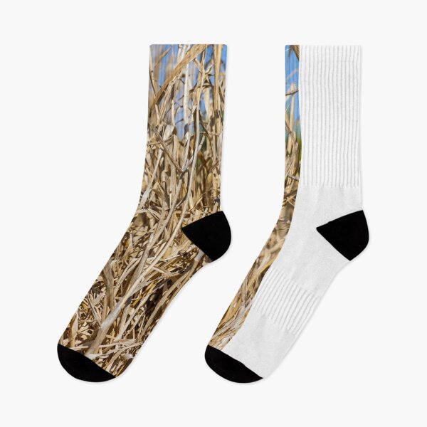 Item preview, Close-Up Of Dry Tall Grass And Straw Reeds In A Sunlit Field Texture designed and sold by Nmallia.