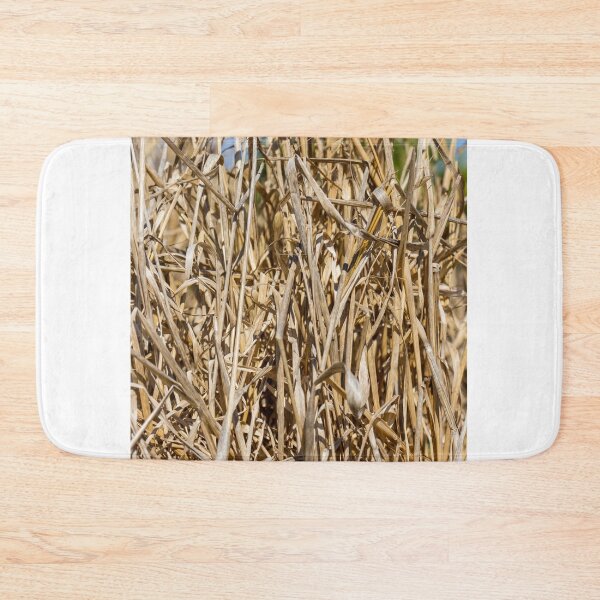 Item preview, Close-Up Of Dry Tall Grass And Straw Reeds In A Sunlit Field Texture designed and sold by Nmallia.
