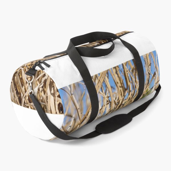 Item preview, Close-Up Of Dry Tall Grass And Straw Reeds In A Sunlit Field Texture designed and sold by Nmallia.