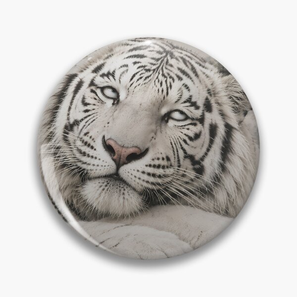 Item preview, White Tiger Eye Roll | Humorous Oriental Ink Art | Funny White Tiger Wall Decor | Cute Wildlife Illustration | Zen Animal Artwork | Whimsical Tiger Gift designed and sold by ManJiangHong.