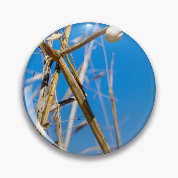 Item preview, White Snail Shell Clinging To Dry Grass Stem Against Clear Blue Sky Nature Closeup designed and sold by Nmallia.