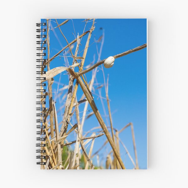 Item preview, White Snail Shell Clinging To Dry Grass Stem Against Clear Blue Sky Nature Closeup designed and sold by Nmallia.