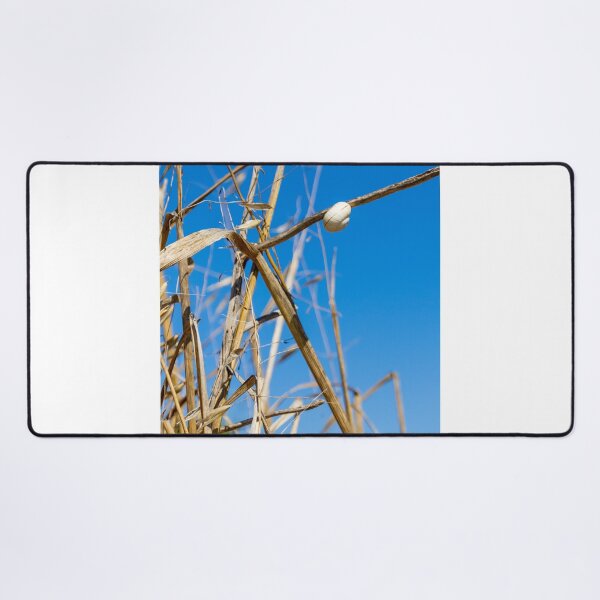 Item preview, White Snail Shell Clinging To Dry Grass Stem Against Clear Blue Sky Nature Closeup designed and sold by Nmallia.