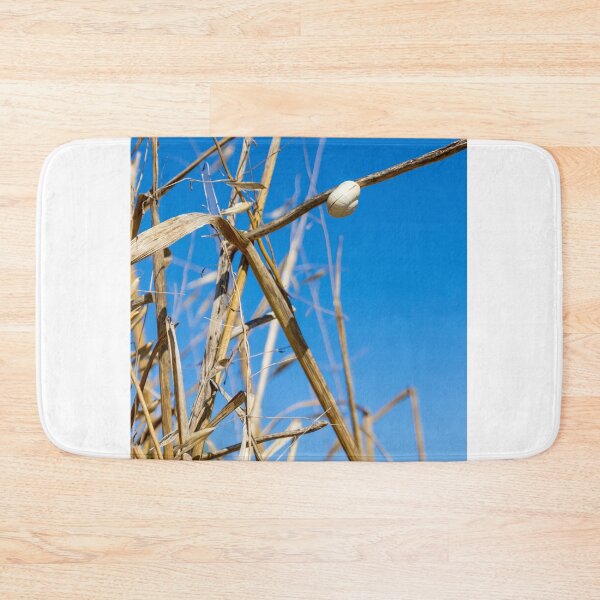 Item preview, White Snail Shell Clinging To Dry Grass Stem Against Clear Blue Sky Nature Closeup designed and sold by Nmallia.