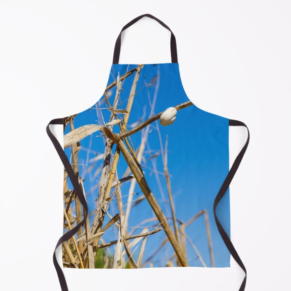 Item preview, White Snail Shell Clinging To Dry Grass Stem Against Clear Blue Sky Nature Closeup designed and sold by Nmallia.