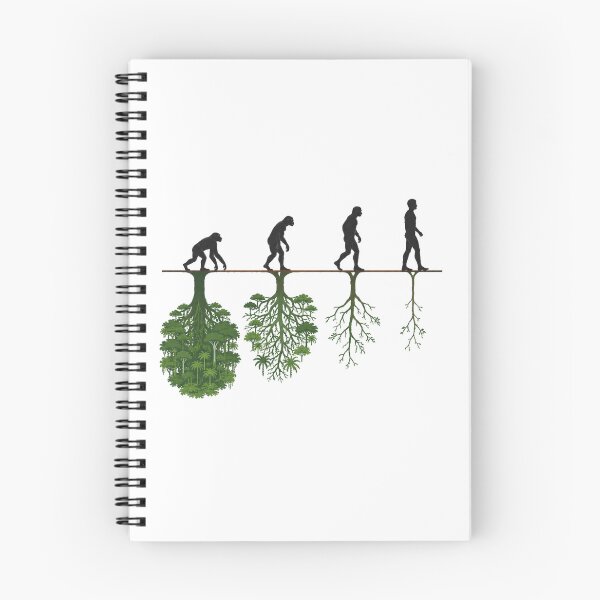 Item preview, Evolution and the Vanishing Forest designed and sold by  Nature in Focus.