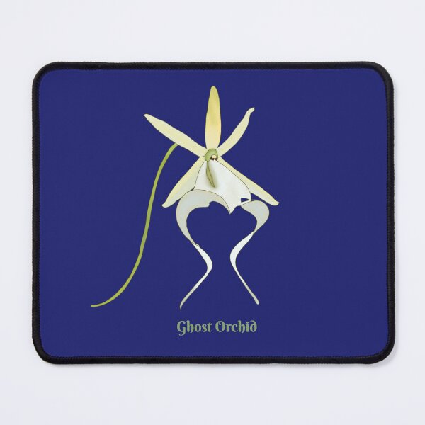 Item preview, Ghost Orchid (dendrophylax lindenii) designed and sold by Floralfusion.