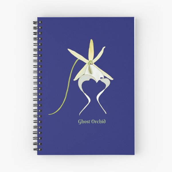 Item preview, Ghost Orchid (dendrophylax lindenii) designed and sold by Floralfusion.