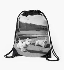 Woman with Two Dogs Drawstring Bag