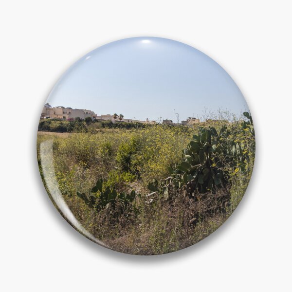 Item preview, Prickly Pear Cactus in Sunny Dry Field Near Low-Rise Town Buildings Under Clear Blue Sky designed and sold by Nmallia.