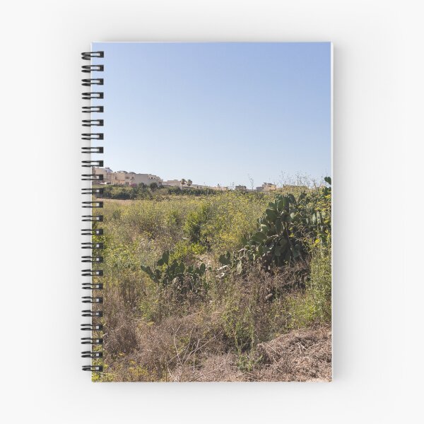 Item preview, Prickly Pear Cactus in Sunny Dry Field Near Low-Rise Town Buildings Under Clear Blue Sky designed and sold by Nmallia.