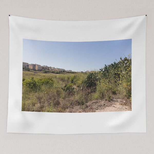 Item preview, Prickly Pear Cactus in Sunny Dry Field Near Low-Rise Town Buildings Under Clear Blue Sky designed and sold by Nmallia.
