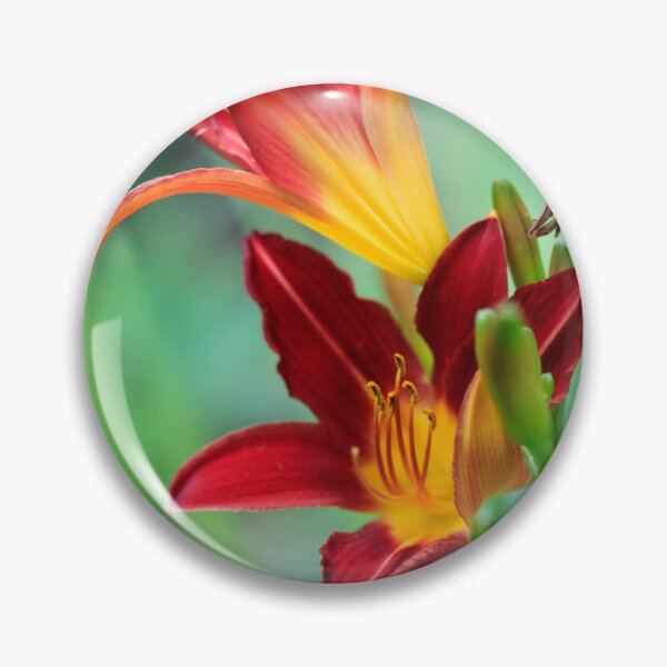 Item preview, Red lilies on nature background designed and sold by olena2552.
