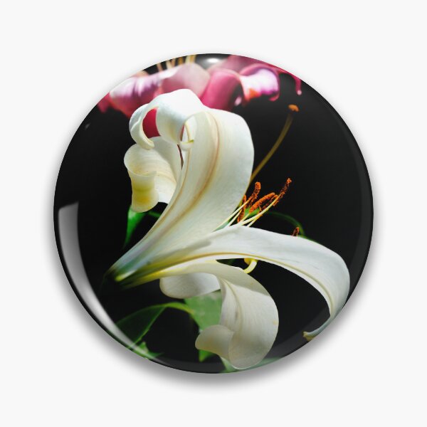 Item preview, Two lilies on black background designed and sold by olena2552.