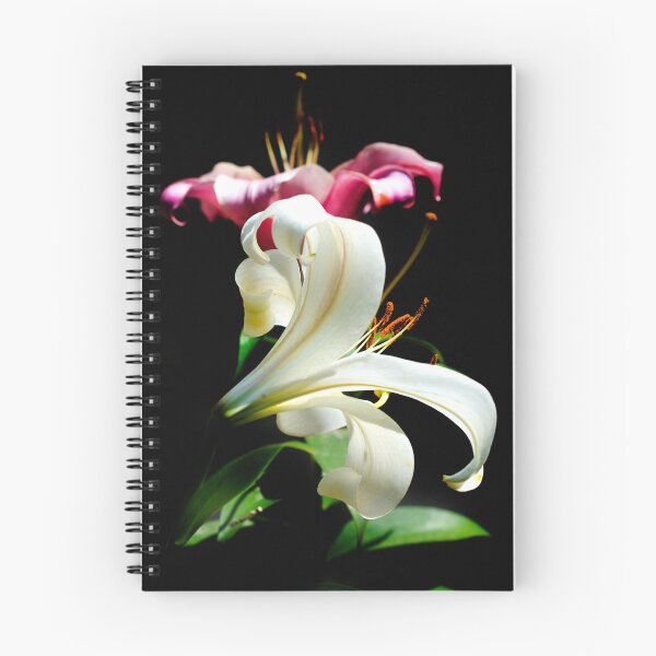 Item preview, Two lilies on black background designed and sold by olena2552.