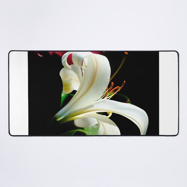 Item preview, Two lilies on black background designed and sold by olena2552.