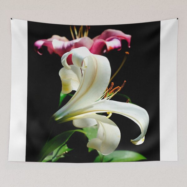 Item preview, Two lilies on black background designed and sold by olena2552.