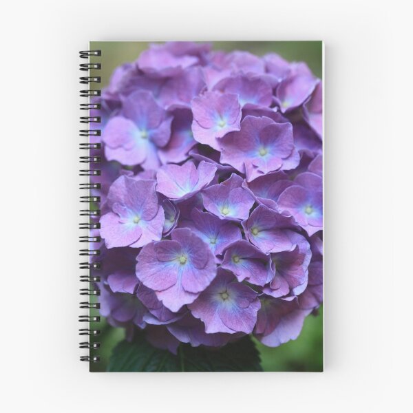 Item preview, Violet flowers in summer garden designed and sold by olena2552.