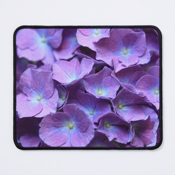 Item preview, Violet flowers in summer garden designed and sold by olena2552.