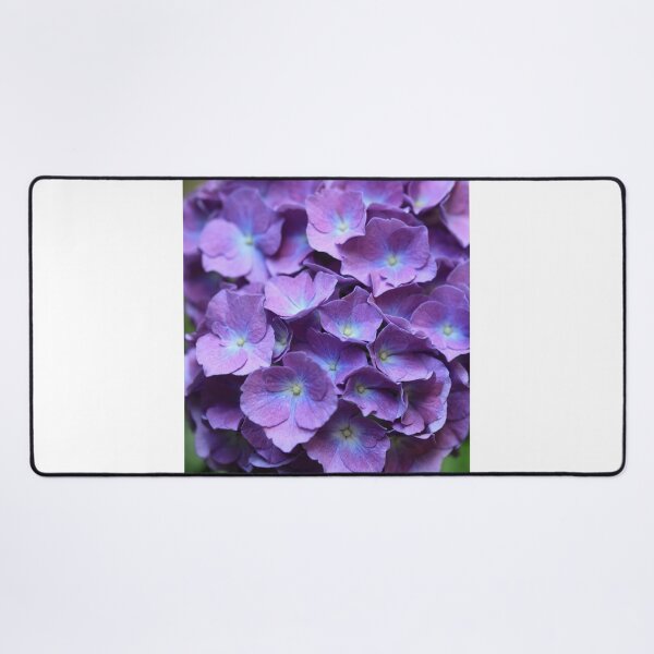 Item preview, Violet flowers in summer garden designed and sold by olena2552.