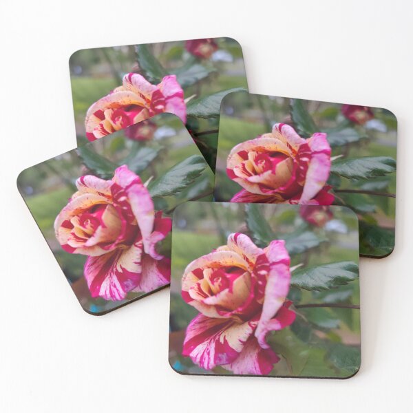 Item preview, Spanish rose designed and sold by PigmenAlma.