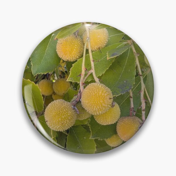 Item preview, Ripening Yellow and Orange Strawberry Tree Fruit Hanging Amidst Green Leaves ﻿ designed and sold by gaohao1.