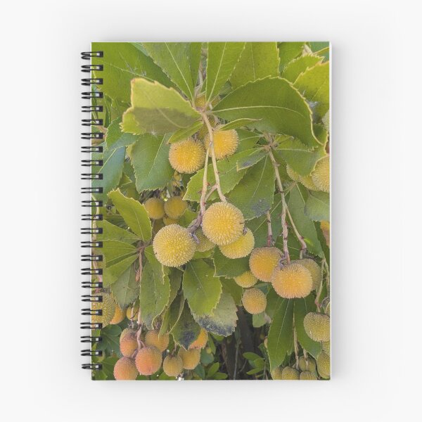 Item preview, Ripening Yellow and Orange Strawberry Tree Fruit Hanging Amidst Green Leaves ﻿ designed and sold by gaohao1.