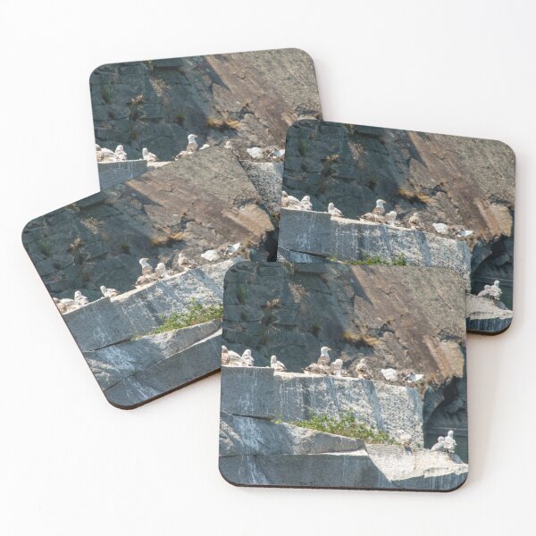 Item preview, Seagulls Resting designed and sold by Ruth Curtis.