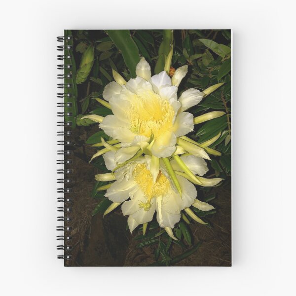 Item preview, Dragon fruit flower designed and sold by Fayes4Art.