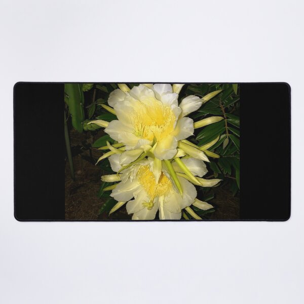Item preview, Dragon fruit flower designed and sold by Fayes4Art.