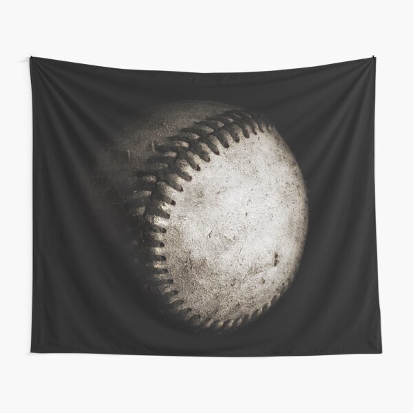 Battered Baseball in Black and White Tapestry