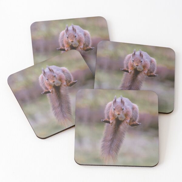 Item preview, Red squirrel in mid flight leaping designed and sold by alan tunnicliffe.