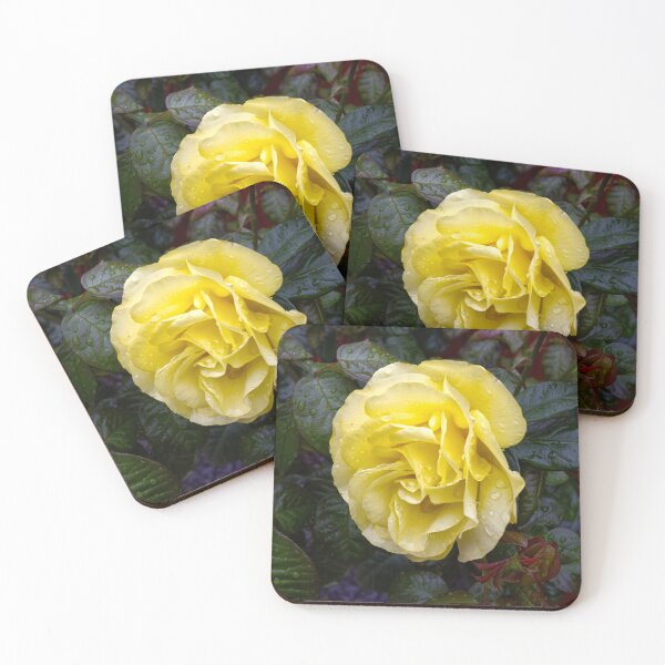 Item preview, Yellow rose with water drops designed and sold by alan tunnicliffe.