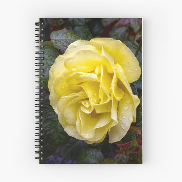 Item preview, Yellow rose with water drops designed and sold by alan tunnicliffe.