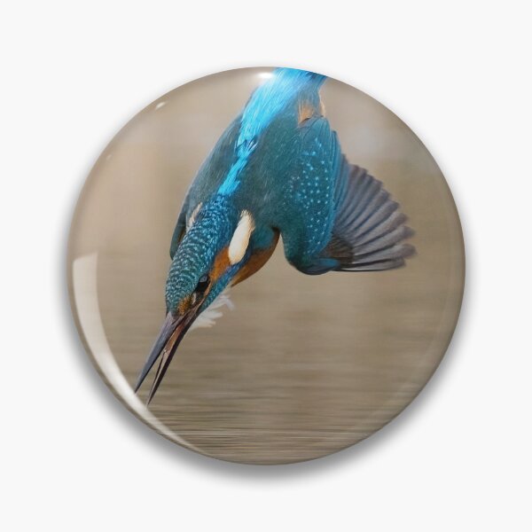 Artikelvorschau, Eisvogel stürzt sich ins Wasser entworfen und verkauft von alan tunnicliffe.