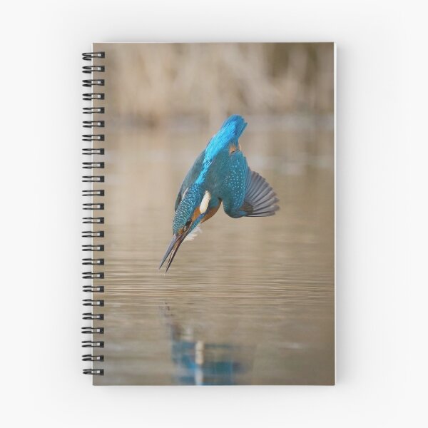 Item preview, Kingfisher diving into water designed and sold by alan tunnicliffe.