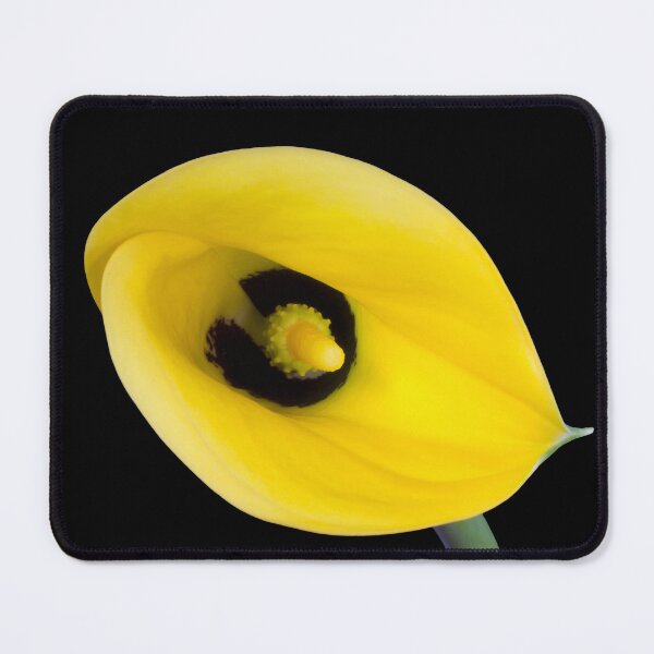 Item preview, Yellow Calla Lily designed and sold by daphsam.