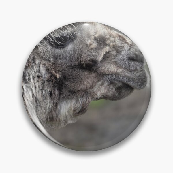 Item preview, Alex the Alpaca says Hello from Ireland.  designed and sold by Visitupstate.