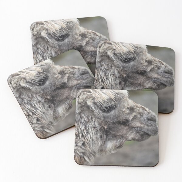 Item preview, Alex the Alpaca says Hello from Ireland.  designed and sold by Visitupstate.