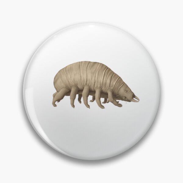 Item preview, Microscopic Tardigrade Water Bear Scientific Illustration designed and sold by ByKayaPrints.