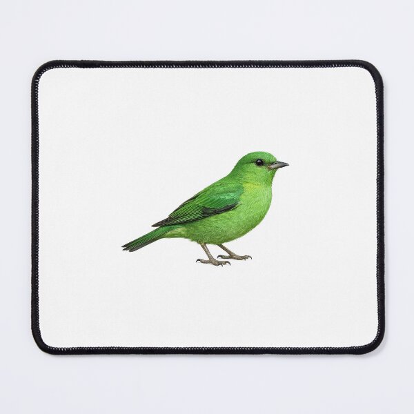 Item preview, Green Songbird Illustration | Vibrant Tropical Green Bird Art | Realistic Wildlife Bird Drawing | Nature Lover Artwork | Exotic Bird Design designed and sold by holistech.