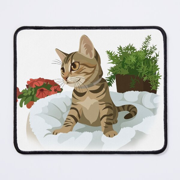 Item preview, Kitten in its bed designed and sold by NorthNook.