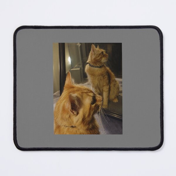 Item preview, Cats Reflection designed and sold by Moments-N-Time.
