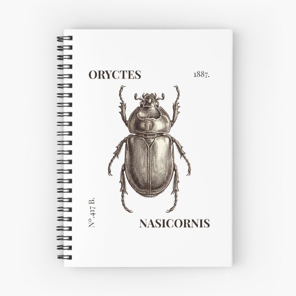 Item preview, Oryctes Nasicornis Vintage Scientific Beetle Illustration No. 417B designed and sold by NullSpacePrints.