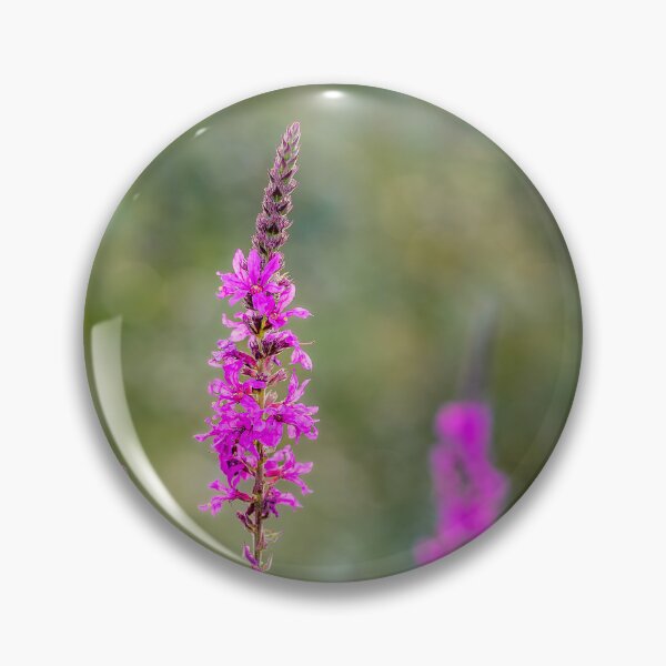 Item preview, Magenta Wildflower Spikes designed and sold by Rabee Khalil Photography.